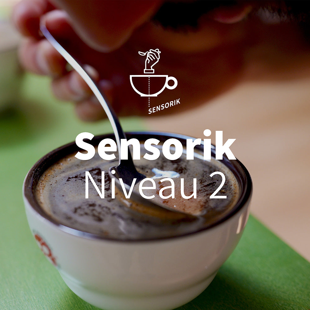 Sensorik Kurs Niveau 2 - Fortgeschritten | Kaffeemacher