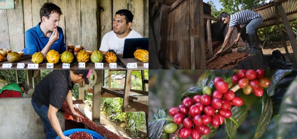 Schokolade und Kaffee. Ähnlichkeiten und Unterschiede. Ein Podcast mit Christoph Inauen von Choba Choba